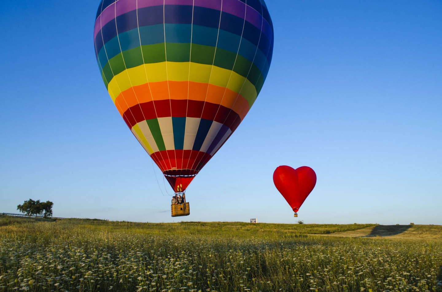 Необычный подарок полёт на воздушном шаре с корзиной
